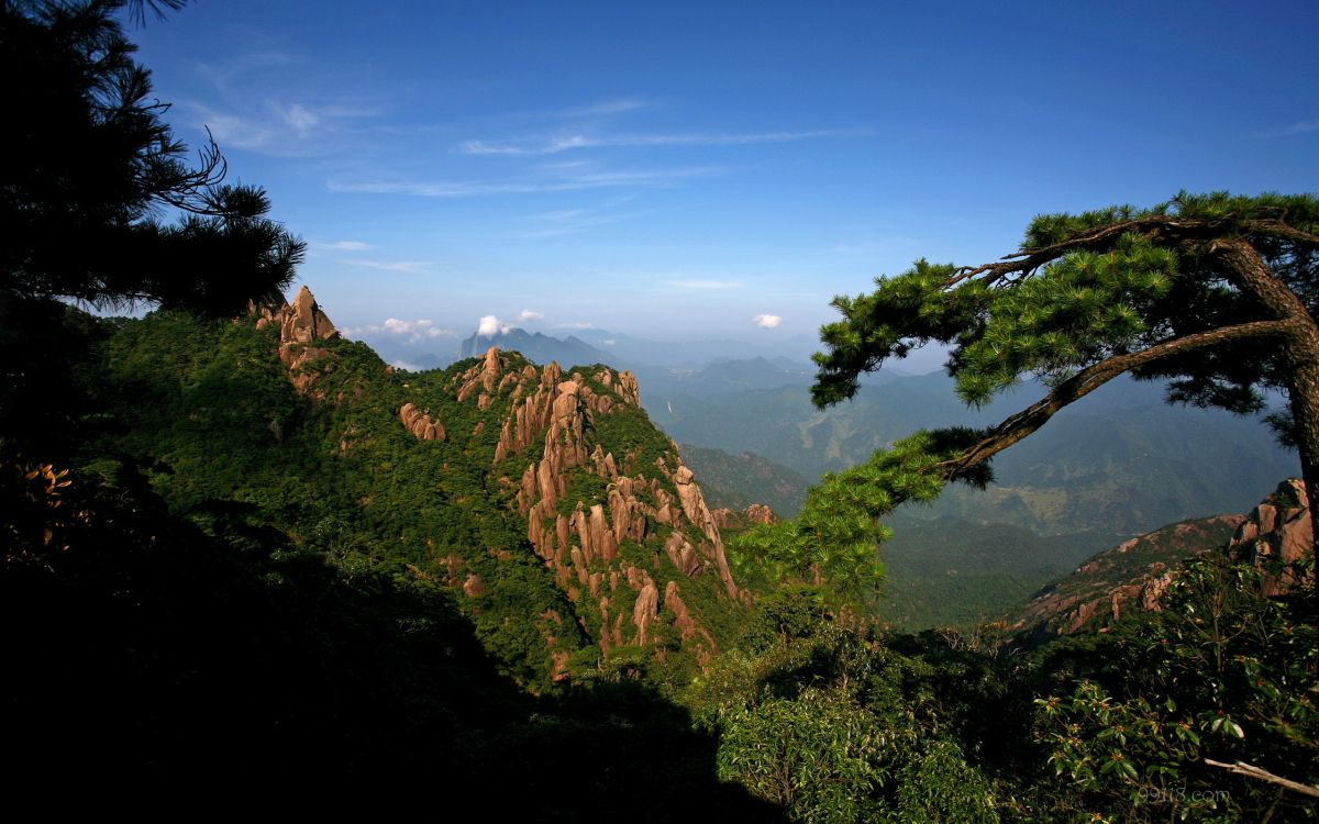 Обои природа, растительность, горный рельеф, гора, дерево в разрешении 2560x1600