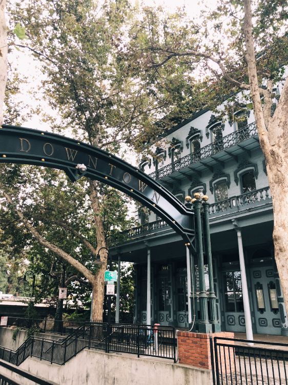 Обои ориентир, биология, наука, ветвь, архитектура в разрешении 3024x4032