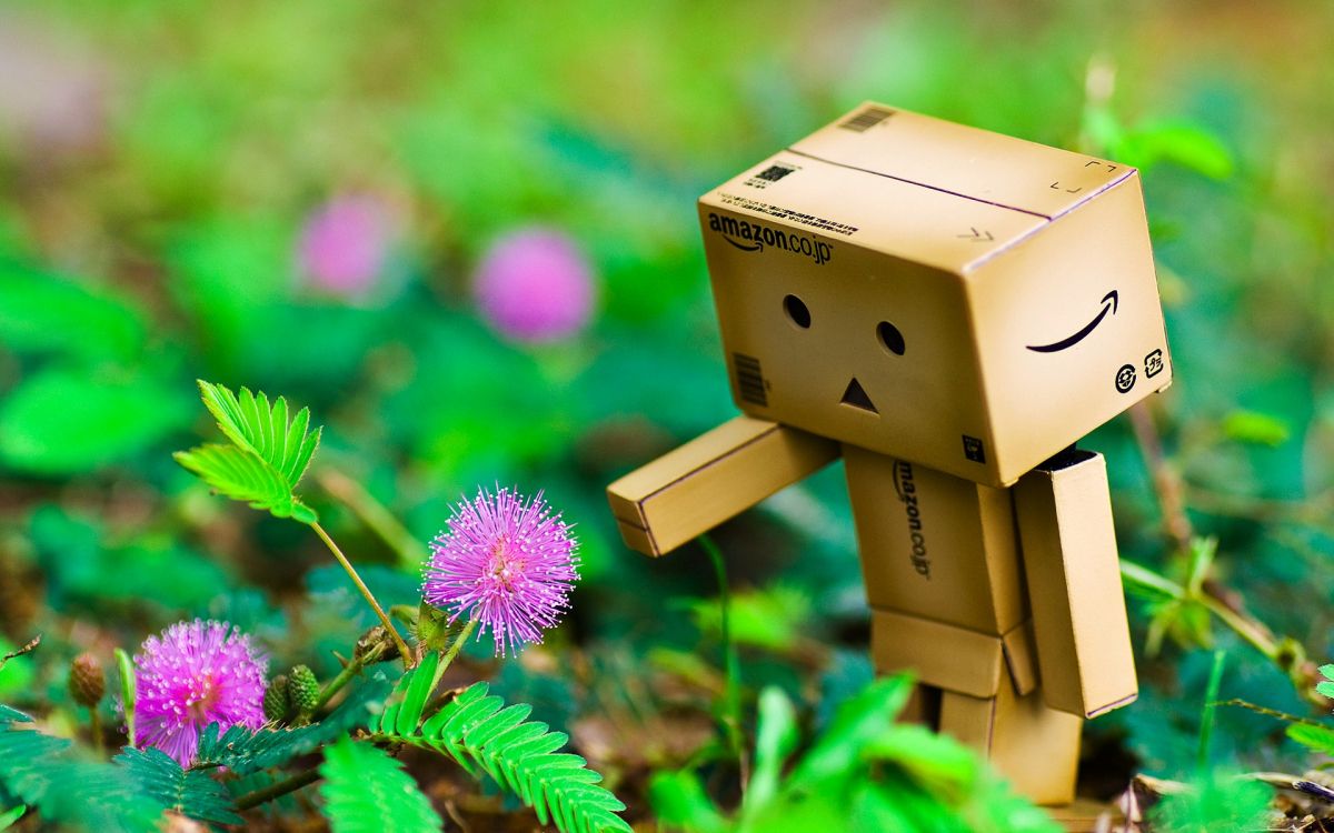 Обои danbo, робот, бумага, Амазонка, макросъемка в разрешении 1920x1200