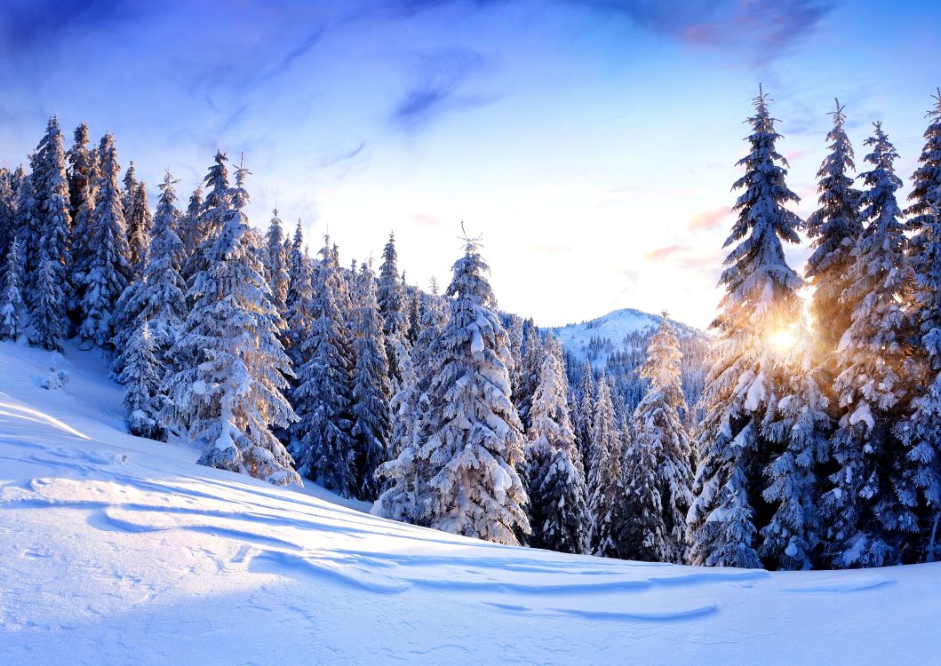 Обои гора, снег, зима, природа, дерево в разрешении 7800x5522
