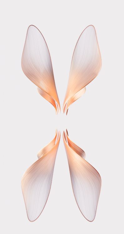 Обои OPPO, андроид, Дизайн раскладушки, графика, графический дизайн в разрешении 382x720