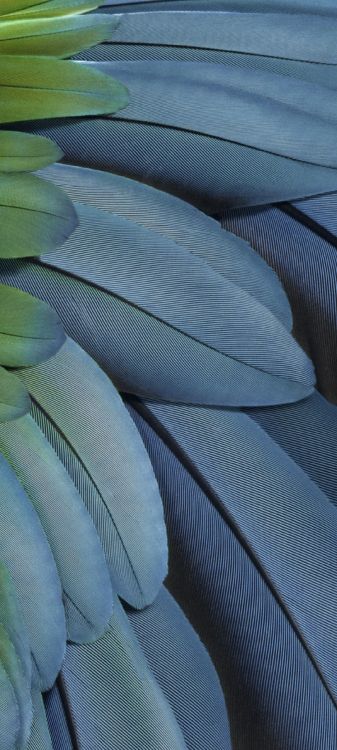 Обои пиксель 7, пиксельная складка, Google, fhd, пиксель 7 а в разрешении 1080x2400