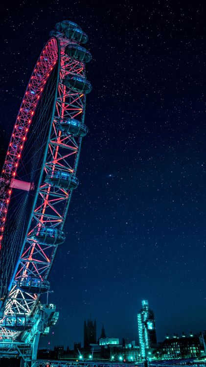 Обои ориблум, морская ириска, арт, синий, природа в разрешении 2160x3840