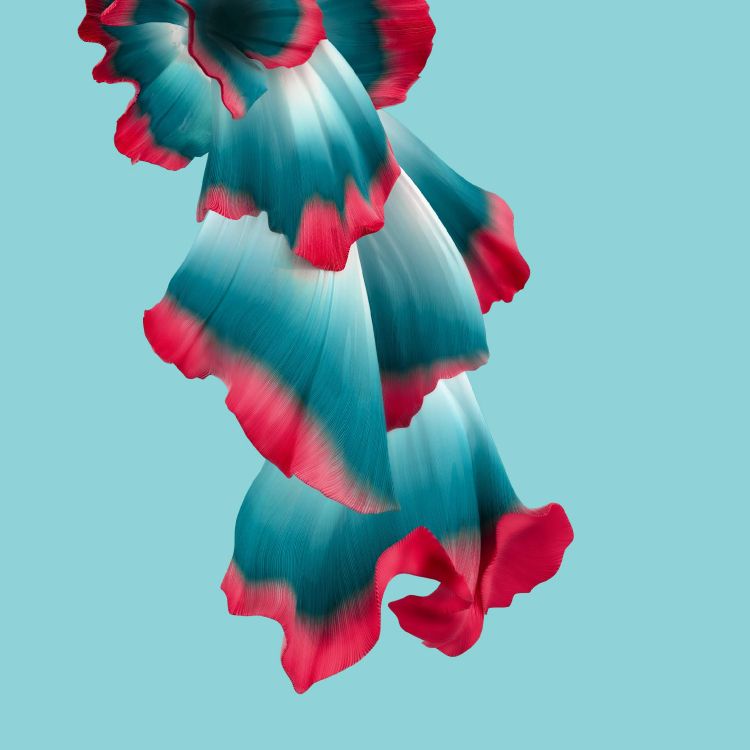 Обои Huawei, Huawei Honor 20, huawei honor 20 pro, честь вид20, честь в разрешении 2340x2340