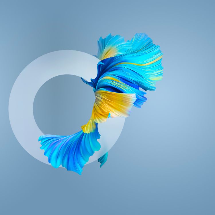 Обои Huawei, Huawei Mate, Huawei Mate 40 Pro, huawei mate 40, смартфон в разрешении 2772x2772