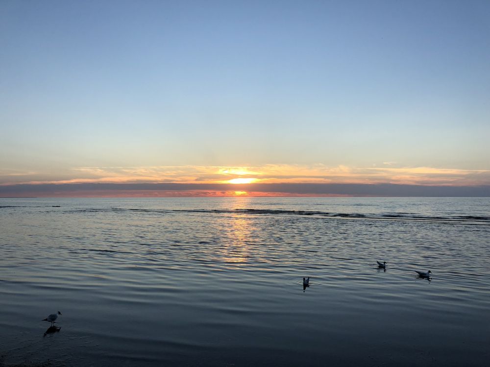 Обои горизонт, вода, восход солнца, водоем, жидкость в разрешении 2048x1536