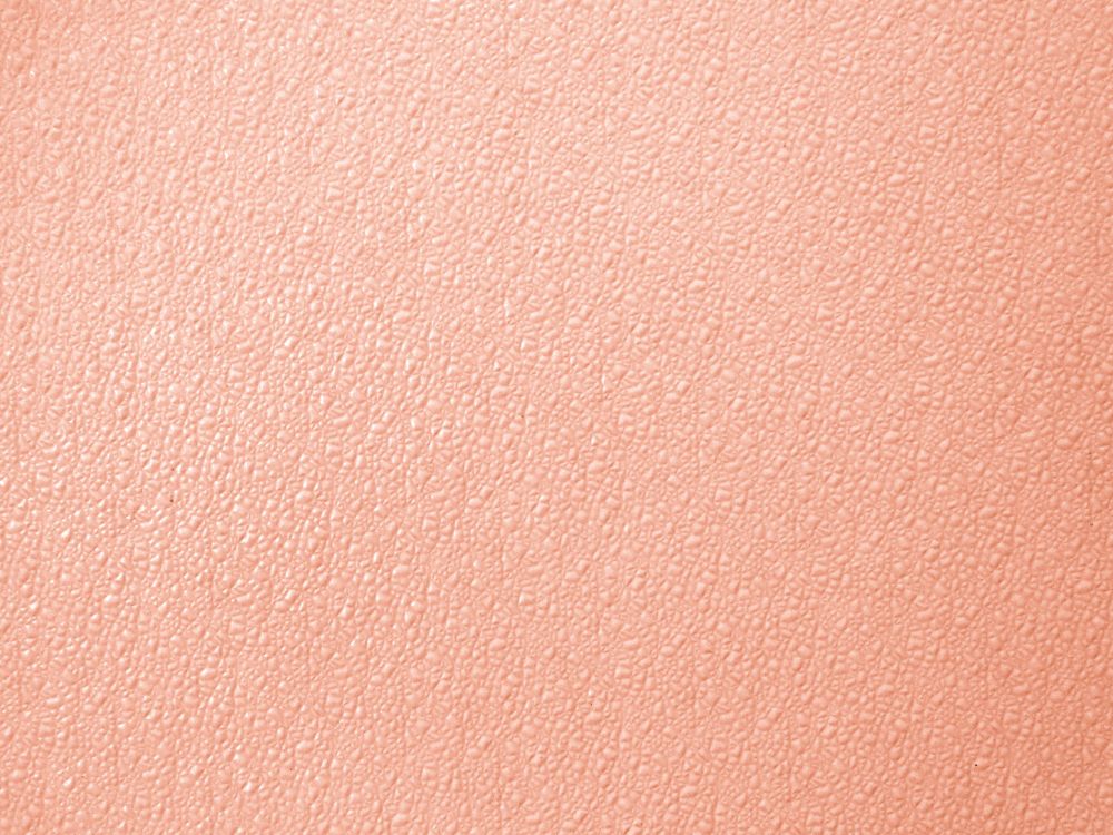 Обои персик, цвет, розовый, цвет беж, Цвет лосось в разрешении 3000x2250