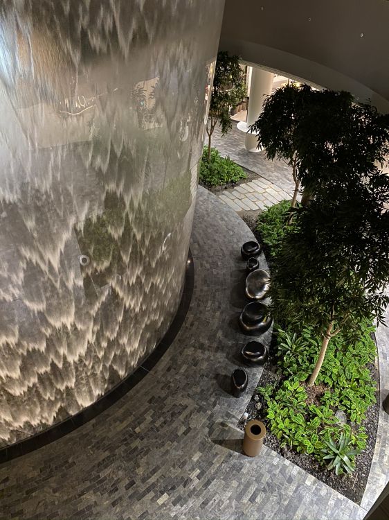 Обои дерево, вода, сад, тень, натуральный материал в разрешении 1536x2048