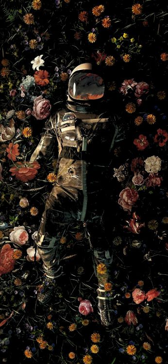 Обои садовые прелести, приятное садовое наслаждение, стена, иканвас, холст стены искусства в разрешении 1440x3120