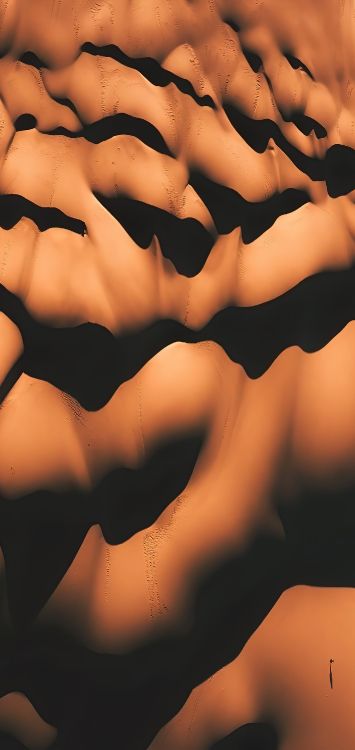 Обои крупный план, наука, биология человека, биология, человеческий скелет в разрешении 1421x3000