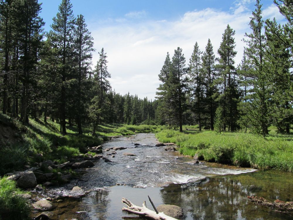 Обои природа, дикая местность, дерево, природный заповедник, прибрежные зоны в разрешении 4320x3240