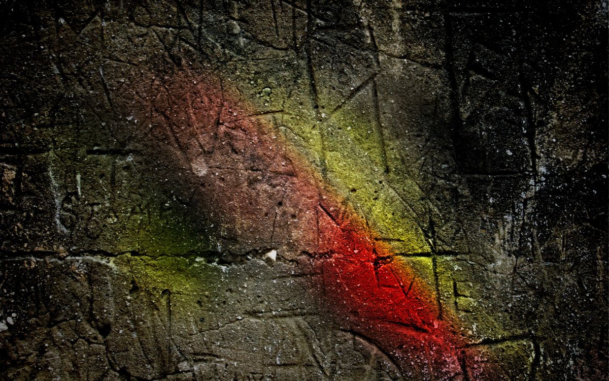 Обои лист, дерево, вода, стена, ветвь в разрешении 2560x1600