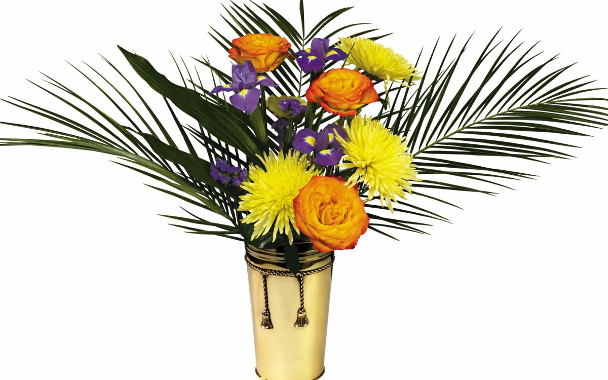 Обои срезанные цветы, сад роз, цветочный букет, желтый, флористика в разрешении 2560x1600