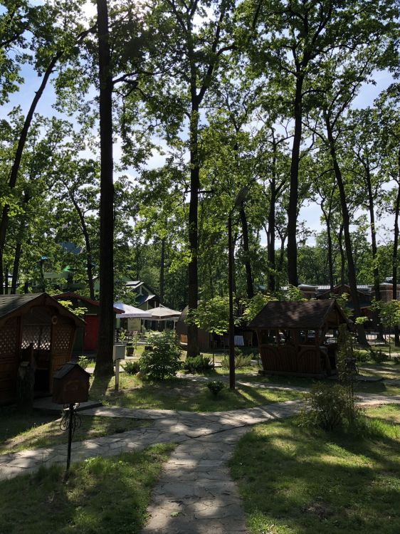 Обои лесистая местность, государственный парк, земельный участок, тень, сад в разрешении 1536x2048