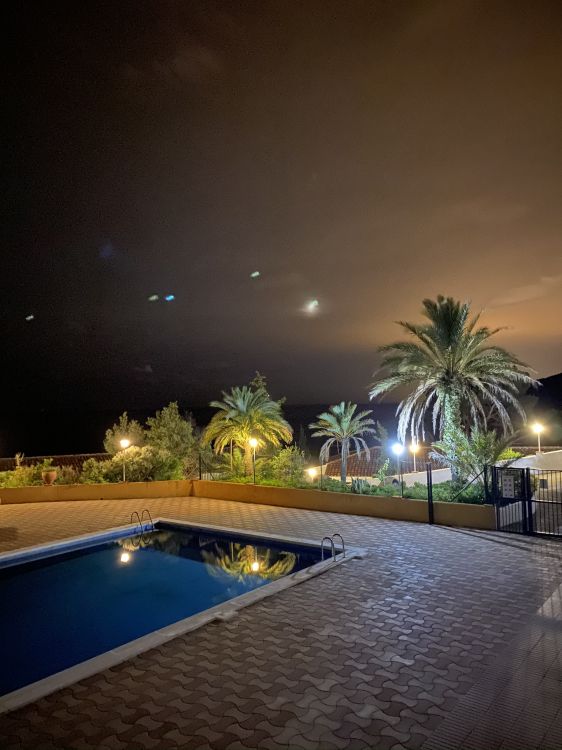 Обои вода, плавательный бассейн, пальмовые рощи, ландшафтное освещение, недвижимость в разрешении 1536x2048