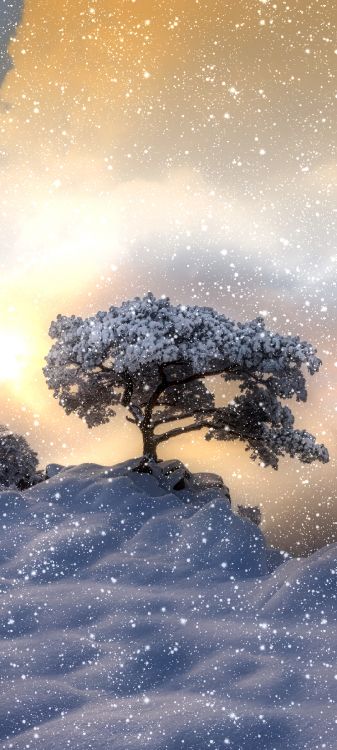 Обои вода, наука, атмосфера, растение, мир в разрешении 1080x2400