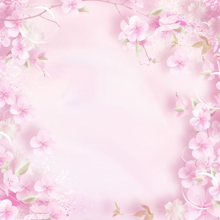 Обои розовый, цветок, лепесток, весна, расцвет в разрешении 3600x3600