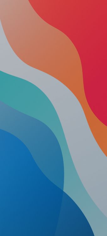 Обои Апельсин, графический дизайн, лазурный, арт, серый цвет в разрешении 1440x3168