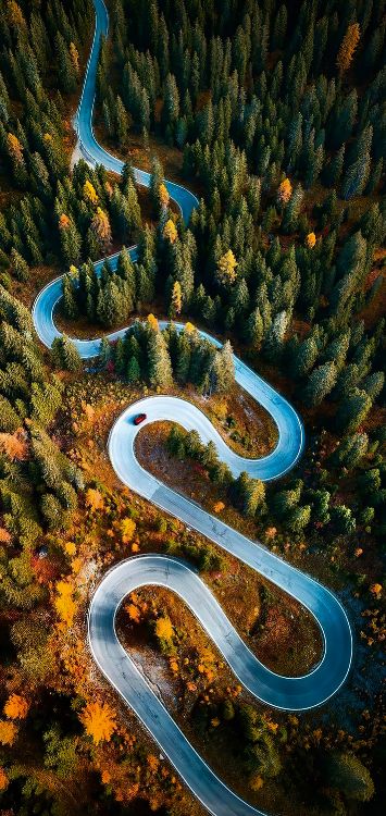 Обои природа, экорегион, природный ландшафт, растение, растительность в разрешении 1421x3000