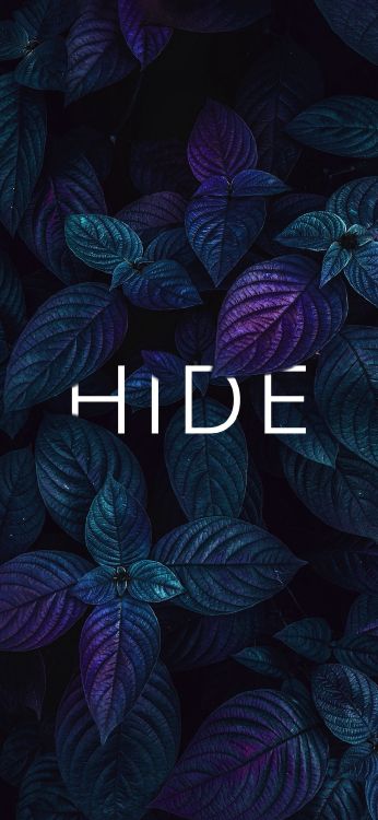 Обои визуальное искусство, графический дизайн, рисование, ботаники, лазурный в разрешении 1080x2340