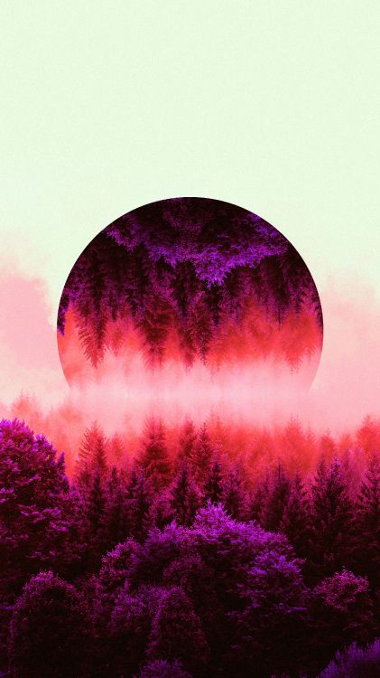 Обои лес, дерево, лесное хозяйство, стена, природа в разрешении 3240x5760