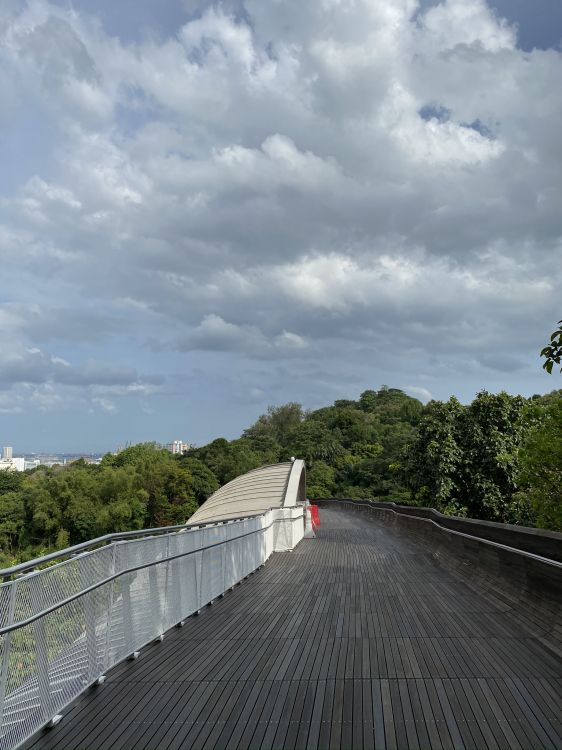 Обои облако, дорога, дорожное покрытие, дневное время, древесина в разрешении 1536x2048