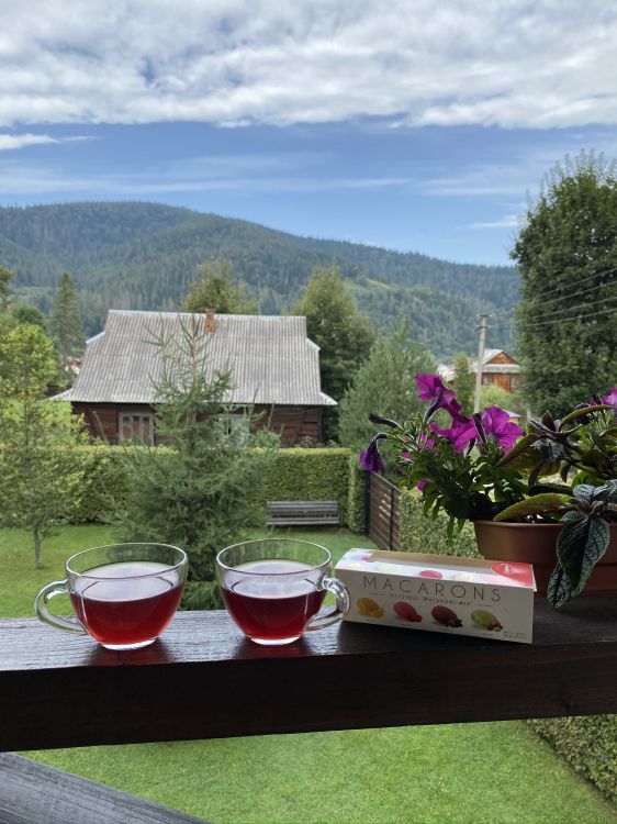 Обои Хаус, недвижимость, цветочный горшок, дерево, напиток в разрешении 1536x2048