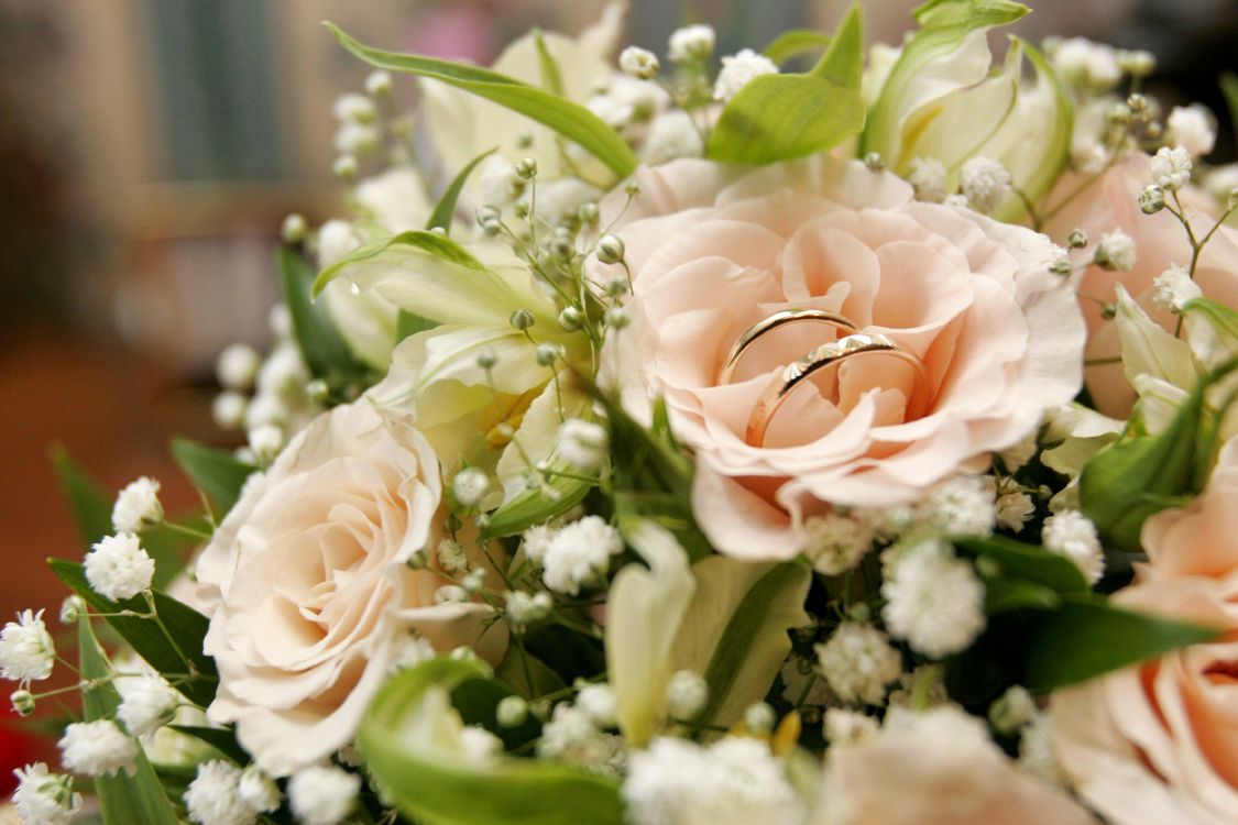 Обои свадьба, цветок, букет, флористики, флористика в разрешении 3504x2336