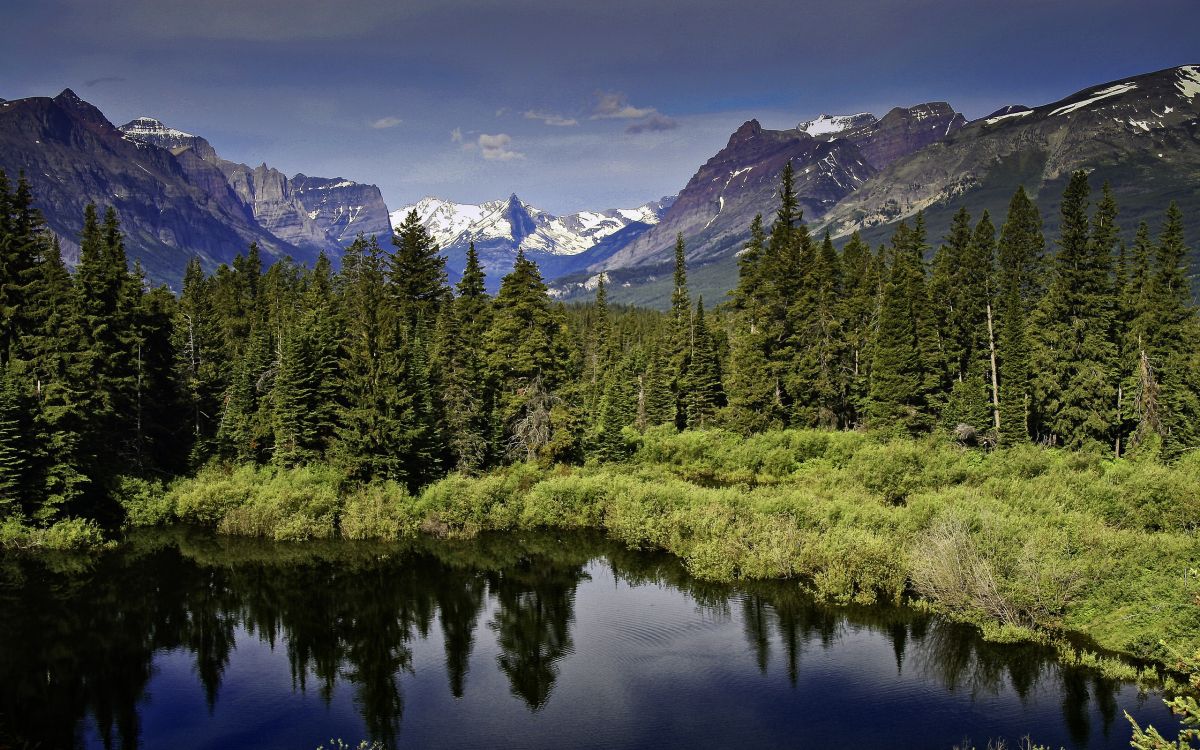 Обои отражение, дерево, Хвойные, природа, горный рельеф в разрешении 2560x1600