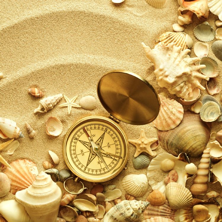 Обои море должно, ракушка, море, пляж, океан в разрешении 2400x2400