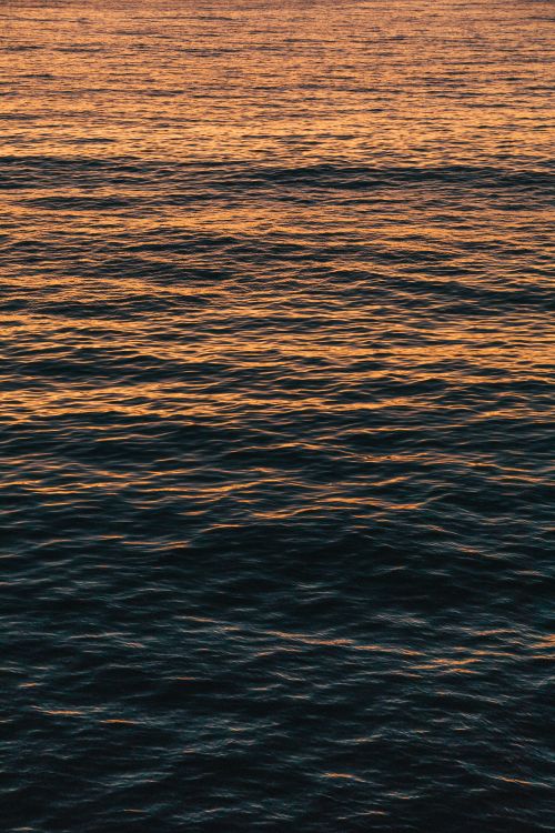 Обои вода, море, горизонт, океан, спокойный в разрешении 4480x6720