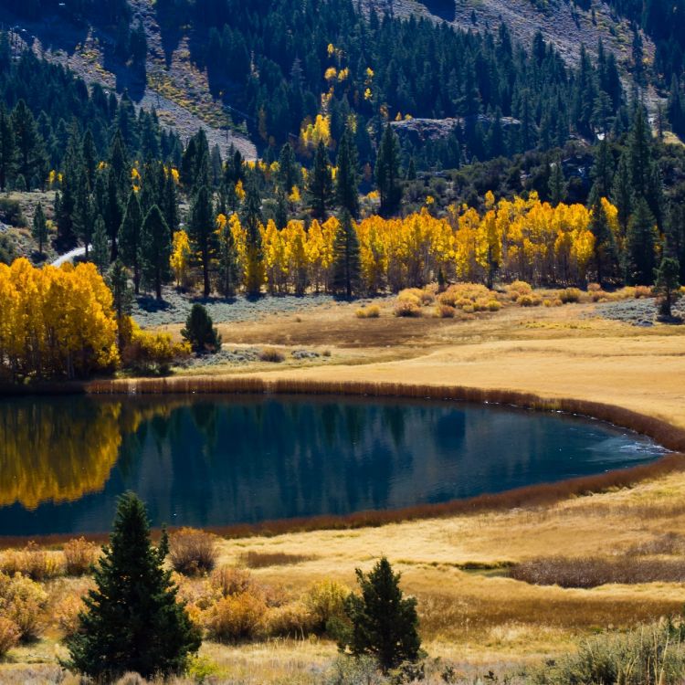 Обои озеро, осень, природа, дикая местность, отражение в разрешении 2780x2780