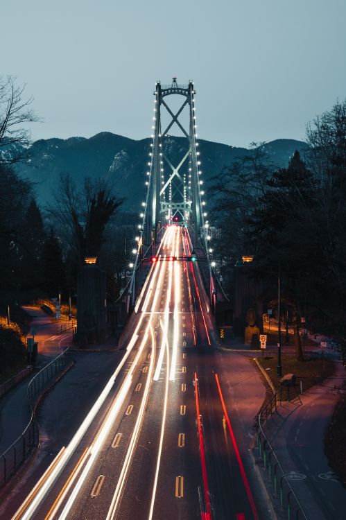 Обои мост Львиные ворота, мост Golden Gate, мост, ориентир, свет в разрешении 3097x4646