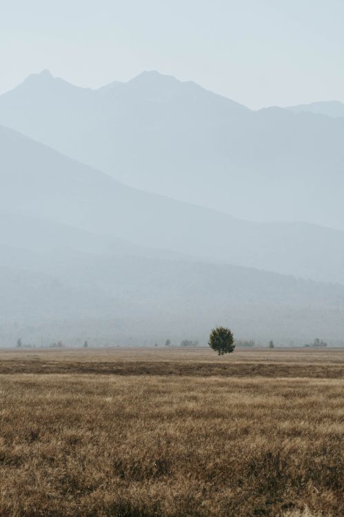Обои сельский район, утро, дерево, национальный парк, небо в разрешении 3929x5894