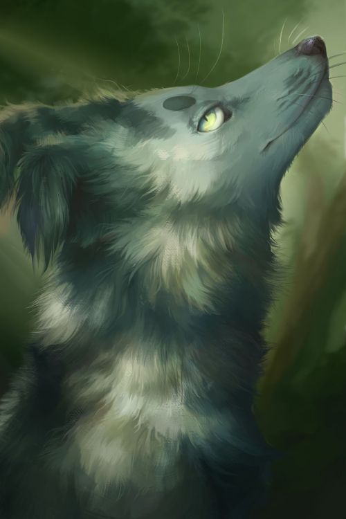 Обои морда, арт, крупный план, живая природа, эскиз в разрешении 2048x3072