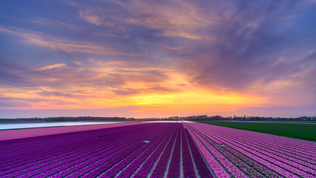 Обои закат, перспектива, вечер, горизонт, облако в разрешении 3840x2160