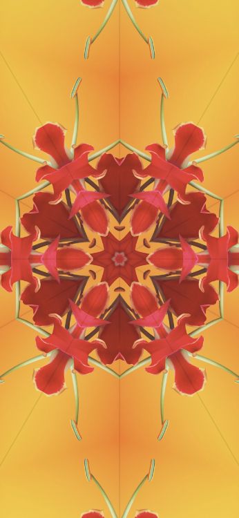 Обои iOS 17, iOS 17 калейдоскоп, ios, я уточнила, яблоко в разрешении 1290x2796