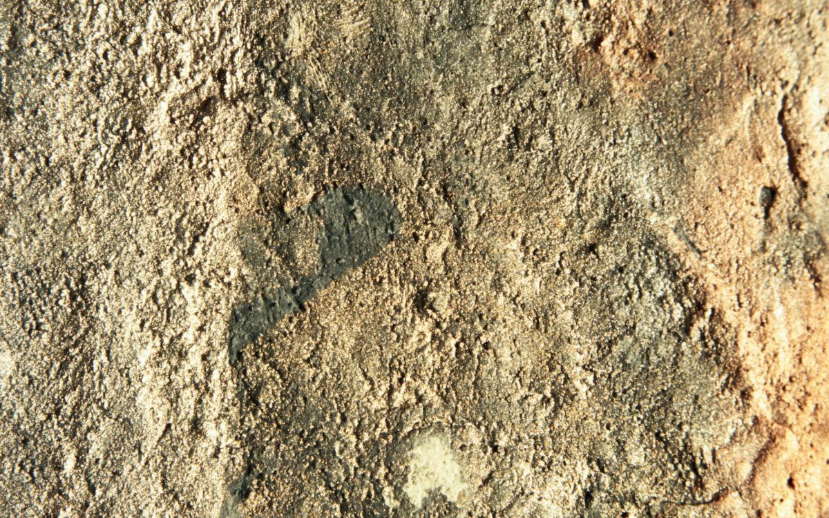 Обои почва, обнажение, рок, геология, коренная порода в разрешении 2560x1600