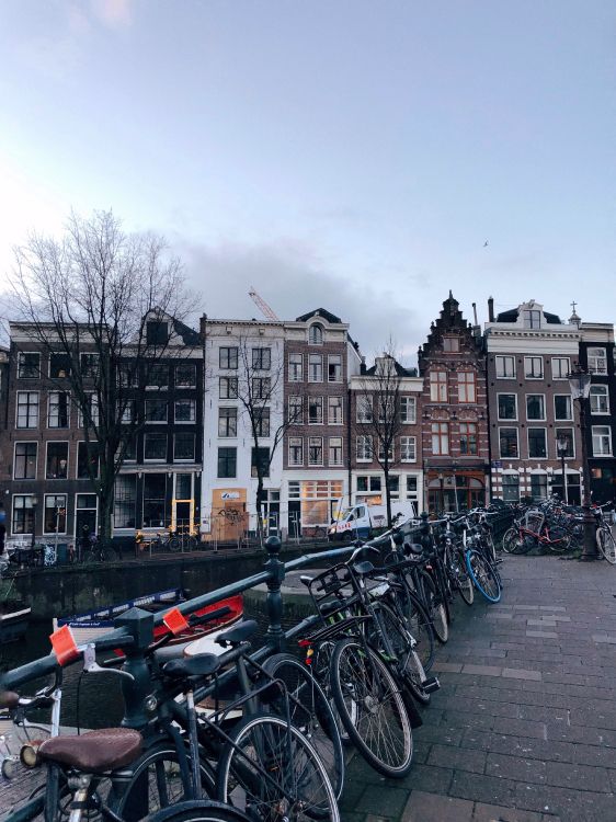 Обои канал, дорожный велосипед, велосипед, гибридный велосипед, водный путь в разрешении 3024x4032