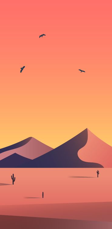 Обои экорегион, птица, природа, склон, Апельсин в разрешении 2711x5500