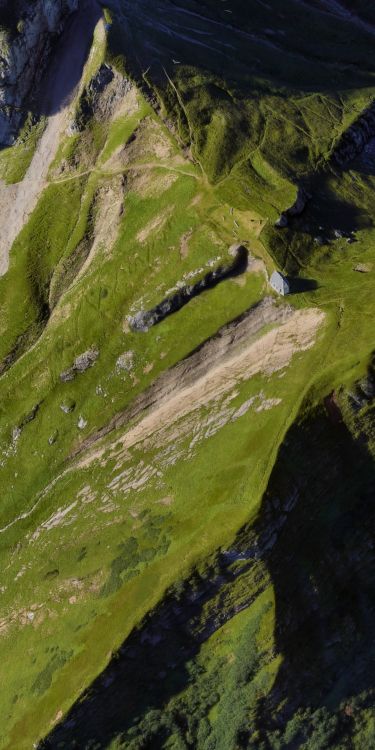 Обои Google, Google Pixel 4, пиксель 5, пиксель 3, андроид в разрешении 1080x2160