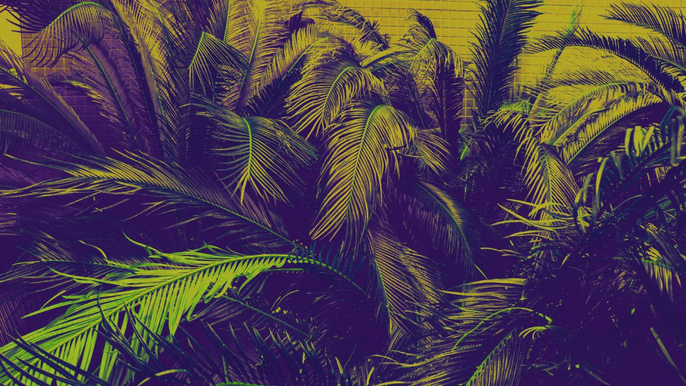 Обои арт, растение, наземное растение, дерево, цветковое растение в разрешении 1920x1080