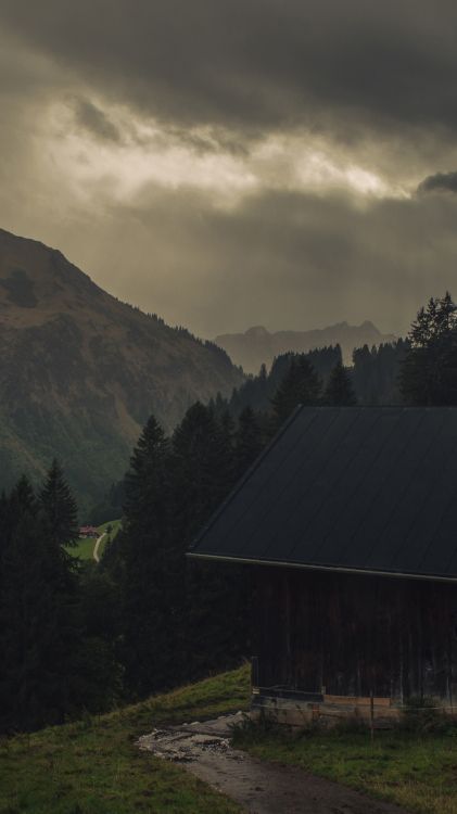 Обои облако, растение, гора, природный ландшафт, древесина в разрешении 1080x1920