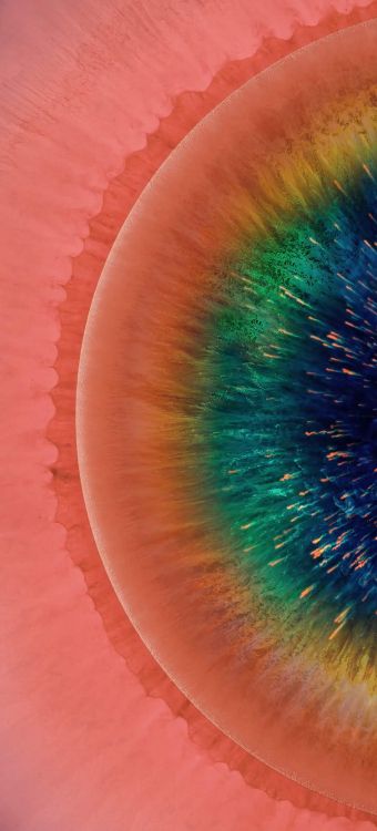 Обои OPPO, OPPO Find X2, OPPO Найти Х, OPPO найти X2 Pro, андроид в разрешении 1440x3168