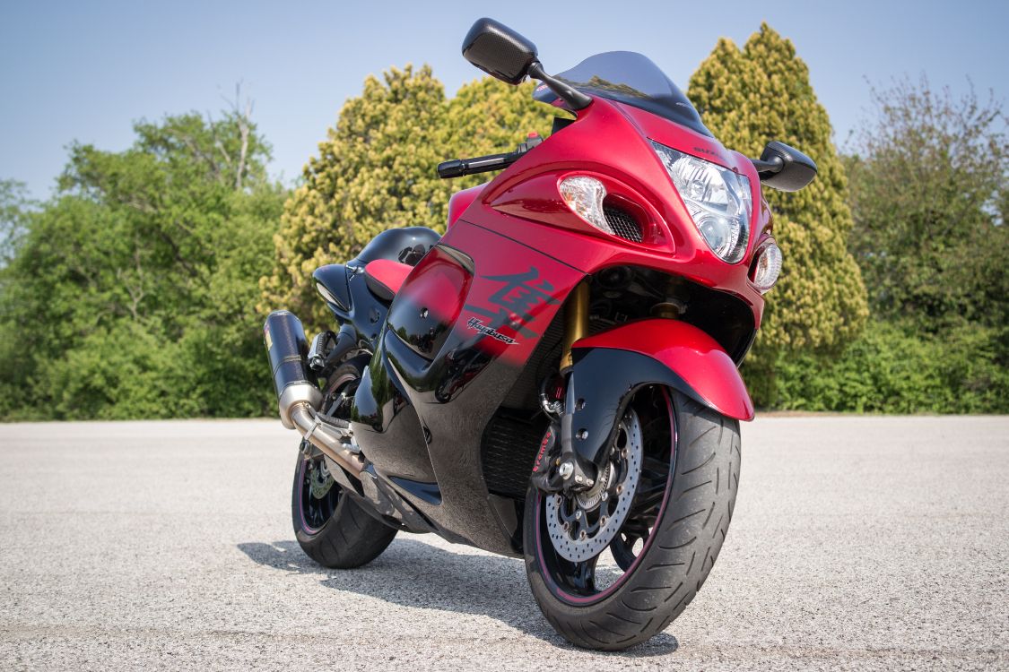 Обои мотоцикл, легковые автомобили, спортивный мотоцикл, триумф тигр 900 ралли, колесо в разрешении 5472x3648