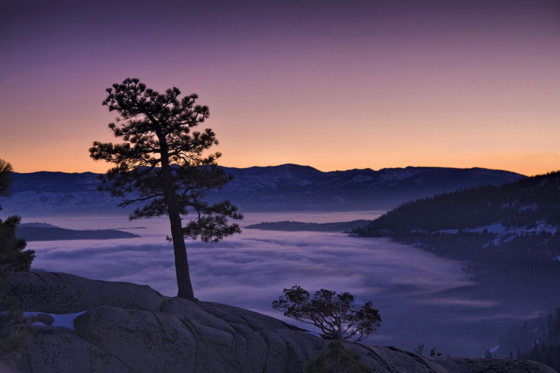 Обои озеро Тахо, природа, дерево, утро, восход солнца в разрешении 2000x1333