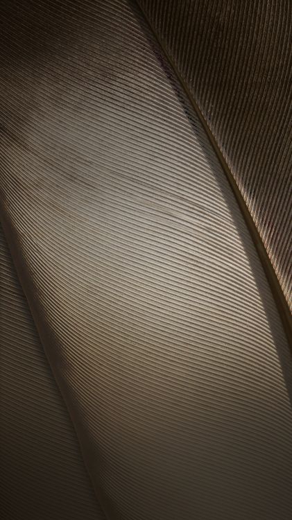 Обои ZTE, ZTE Nubia Z11, свет, nubia z11, Нубия в разрешении 1080x1920