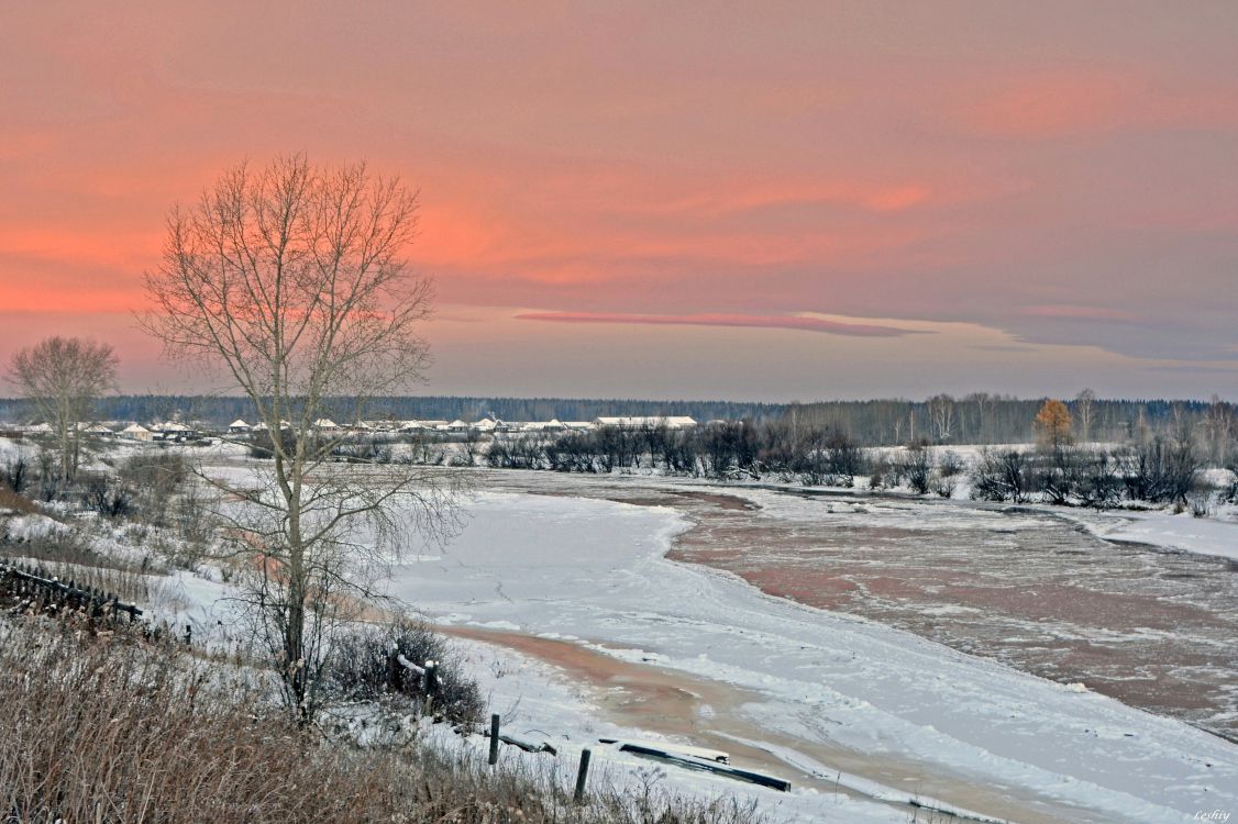 Обои зима, снег, замораживание, дерево, утро в разрешении 3405x2267