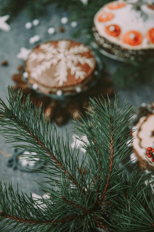 Обои дерево, ветвь, Рождество, пихта, древесные растения в разрешении 2000x2997