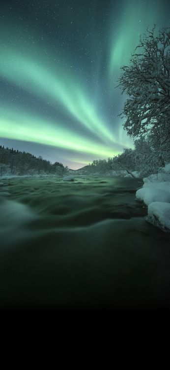Обои природа, атмосфера, Аврора, дерево, природный ландшафт в разрешении 1080x2340